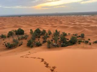 Obira Oasis Merzouga Camp - 6