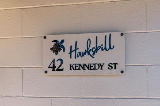 Hawksbill2 - 9
