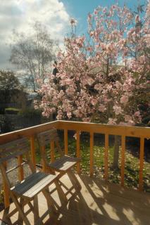 Private Flat in Bridge Hill - 8