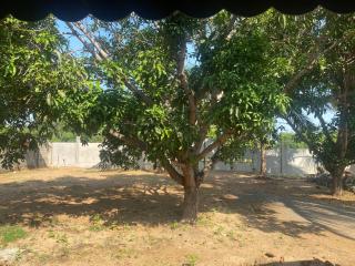 Trincomalee rooms and villa - 6