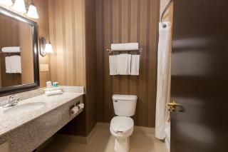 Holiday Inn Express Airport Calgary by IHG - Calgary - 2