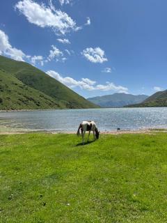 Son-Kul tur Eldiyar - 8