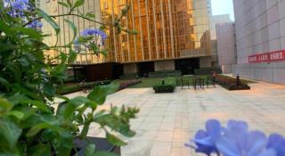 Bo Yu Shennan No. 68 Apartment (Shenzhen Luohu Dongmen Branch) - 3