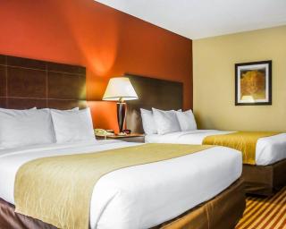 Comfort Inn & Suites - 2