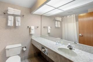 Comfort Inn Huntingdon - 6