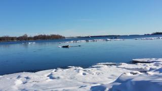 Ljusnefors Camping - 2