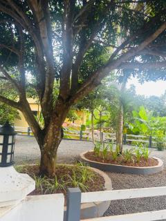 Nedumpalakunnel Homestay - 8