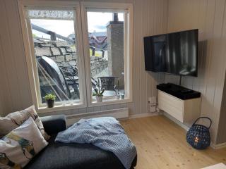 Ideal For Families And Groups Near Sentrum - 7