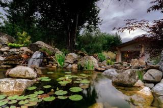Thomhof Chalets - 5