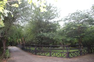 UBEJANI Safari Lodge - Marloth Park - 2