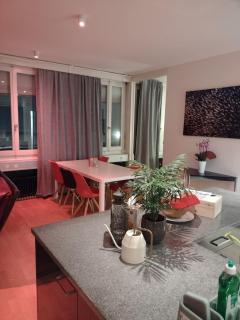 Spacious and bright Loft in downtown Zurich - 4