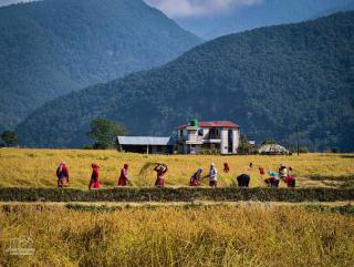 Khaptad Holidays Resort Pvt Ltd - 7
