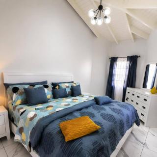 The Canary Suite - 6