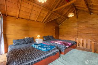 Tree Cabin Dieng - 9