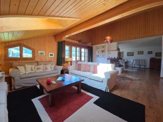 Gstaad - Cozy spacious Flat right in the village - 3