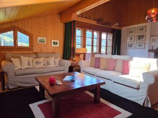 Gstaad - Cozy spacious Flat right in the village - 2