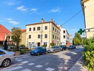 Apartments Radomir - 0
