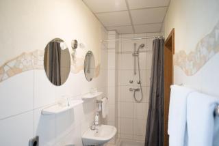 Rheinauer Hof - bed & breakfast - 1