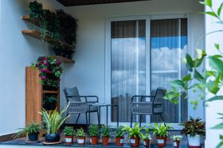 Nandi Daybreak - Holiday Homes - 4