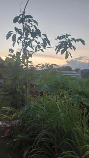 home in depok - 8