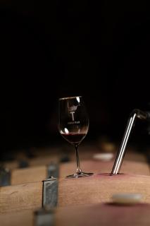 Torre de Palma Wine Hotel, Monforte, a Member of Design Hotels - 3