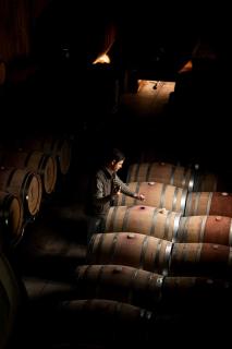 Torre de Palma Wine Hotel, Monforte, a Member of Design Hotels - 2