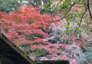 Izuya Ryokan - Vacation STAY 22369v - 2