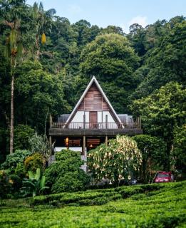 Telaga Warna Nature Space - 0