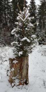 Pension am Steinberg - 3