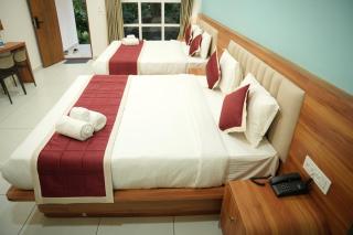 The Amaya Coorg - 7