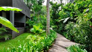 Ahyiresu Farmhouse Resort - 5