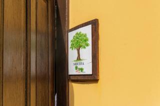Masía del Cura Hotel Rural - 6