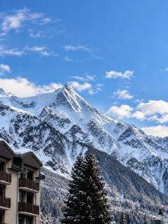 Appartement 4 pax proche des pistes Résidence Le Chamois - Chamonix - 2