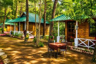Pine Wood Cottage Jungle Resort - 0
