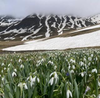 Korabi Mountain Camping - 8