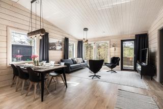 Arctic Aurora Louhi A by Hilla Villas - 4