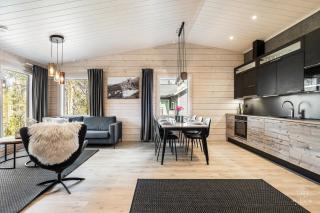 Arctic Aurora Louhi B by Hilla Villas - 8