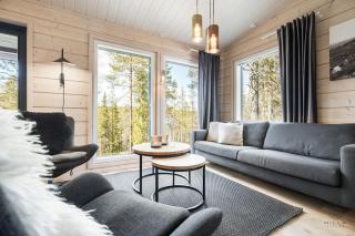 Arctic Aurora Louhi B by Hilla Villas - 7