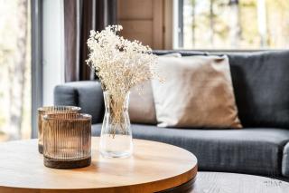 Arctic Aurora Louhi B by Hilla Villas - 3