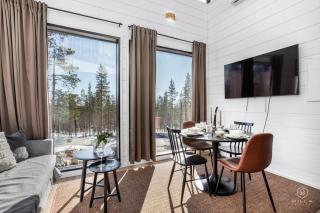 Levi Sky Iglo 6A by Hilla Villas - Levi - 3