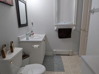 Beautiful Large One Level Ranch 1700 sq ft of living space - 7