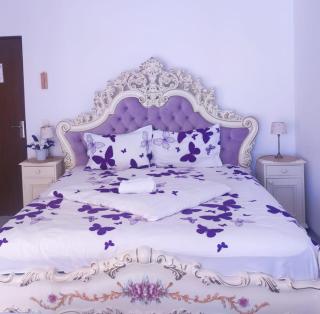Apartament Baron Sighisoara - 9