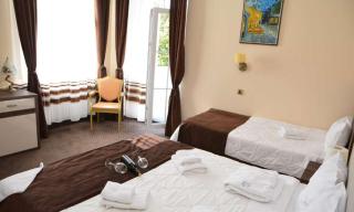 HOTEL OPLENAC doo TOPOLA - 5