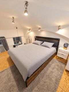 Unique Duplex Loft near Prague City Centre - 5