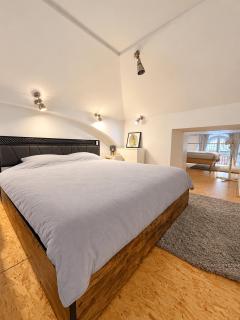 Unique Duplex Loft near Prague City Centre - 4