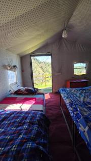 DCN I Route 707 Camping & Resorts Kanatal - 7