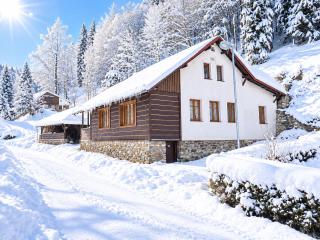 Chalupa Tomášek v blízkosti ski areálu - 9