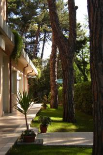 Hotel Mediterraneo - Marina di Pietrasanta - 1