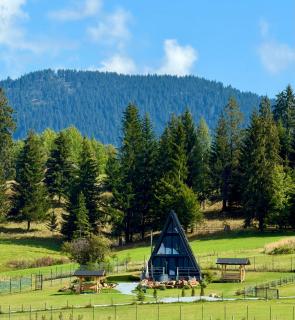 Chalet Charme Bucovina - 0