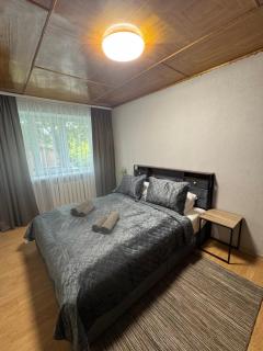 Economy Center Apartment - 9